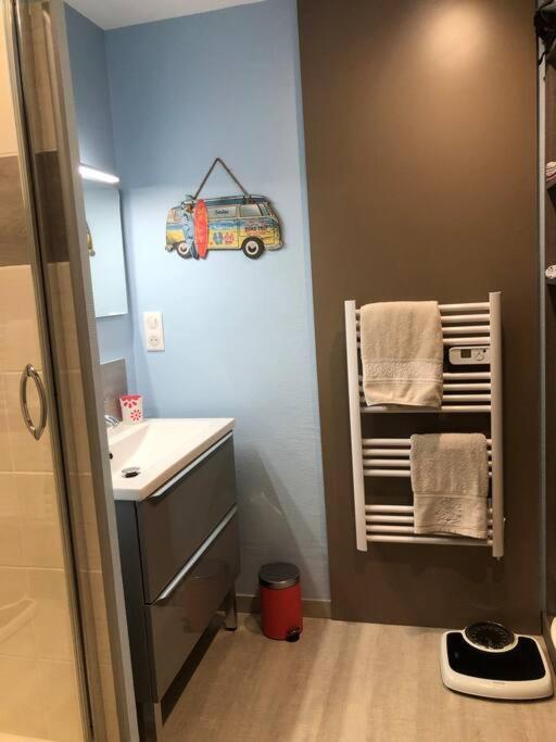 Plein Centre Appartement